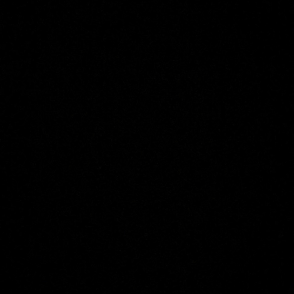 Meet your Posher, Lane